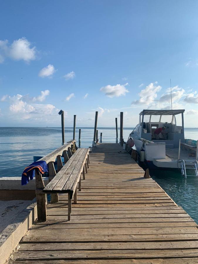 Paradise Divers Hotel Utila Dış mekan fotoğraf